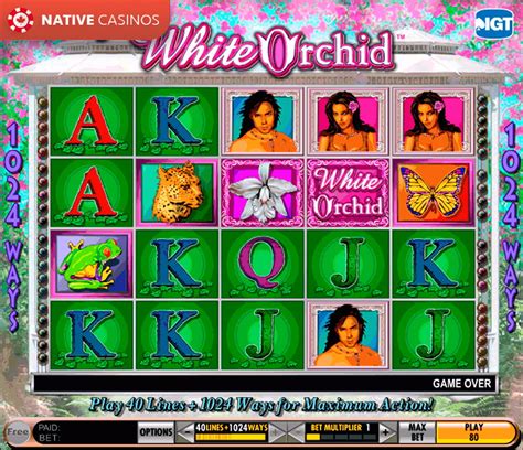 White Orchid 888 Casino